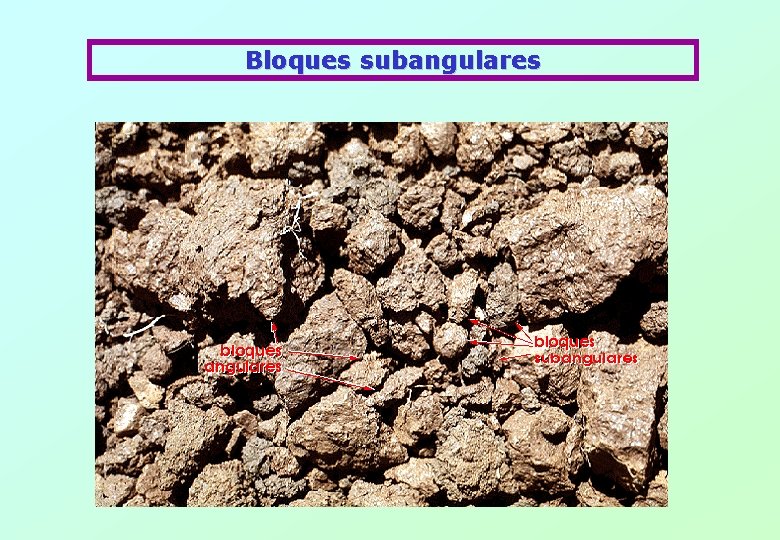 Bloques subangulares 