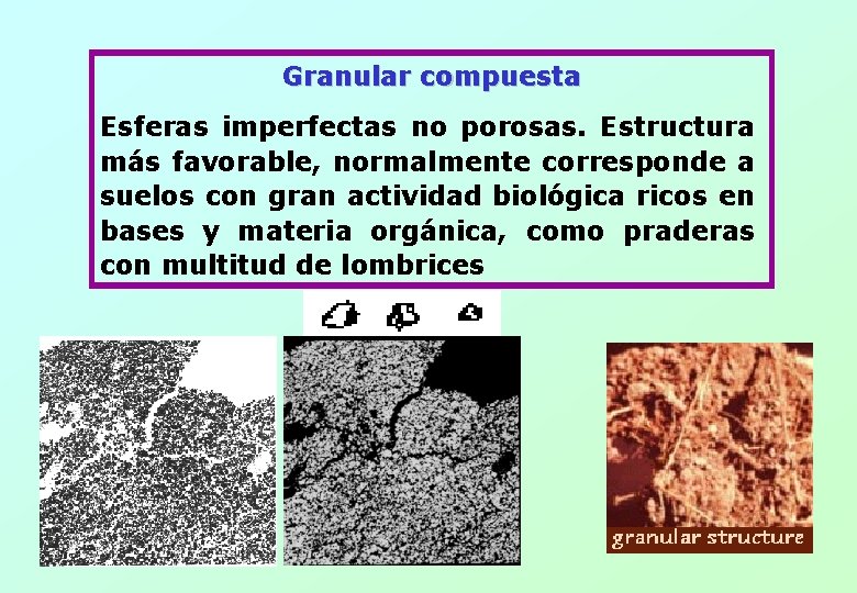 Granular compuesta Esferas imperfectas no porosas. Estructura más favorable, normalmente corresponde a suelos con Granular compuesta Esferas imperfectas no porosas. Estructura más favorable, normalmente corresponde a suelos con