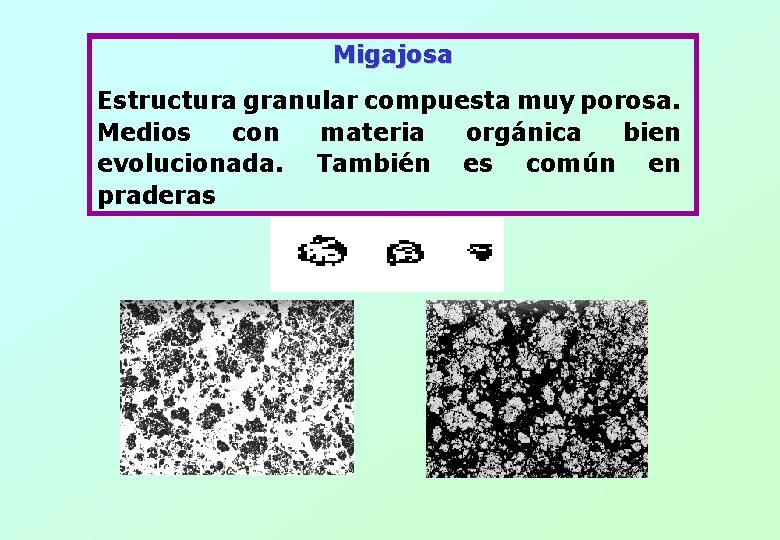 Migajosa Estructura granular compuesta muy porosa. Medios con materia orgánica bien evolucionada. También es