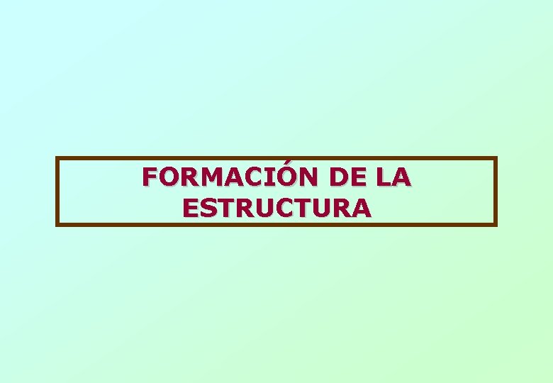 FORMACIÓN DE LA ESTRUCTURA 