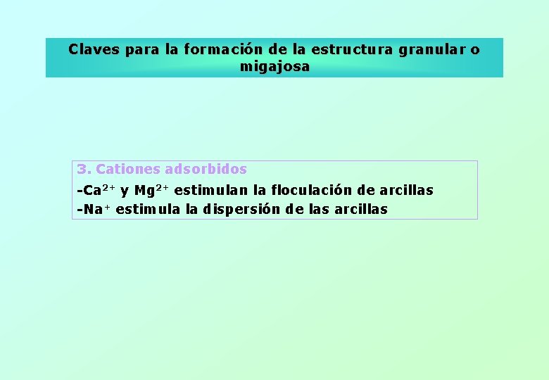 Claves para la formación de la estructura granular o migajosa 3. Cationes adsorbidos -Ca