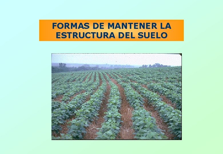 FORMAS DE MANTENER LA ESTRUCTURA DEL SUELO 