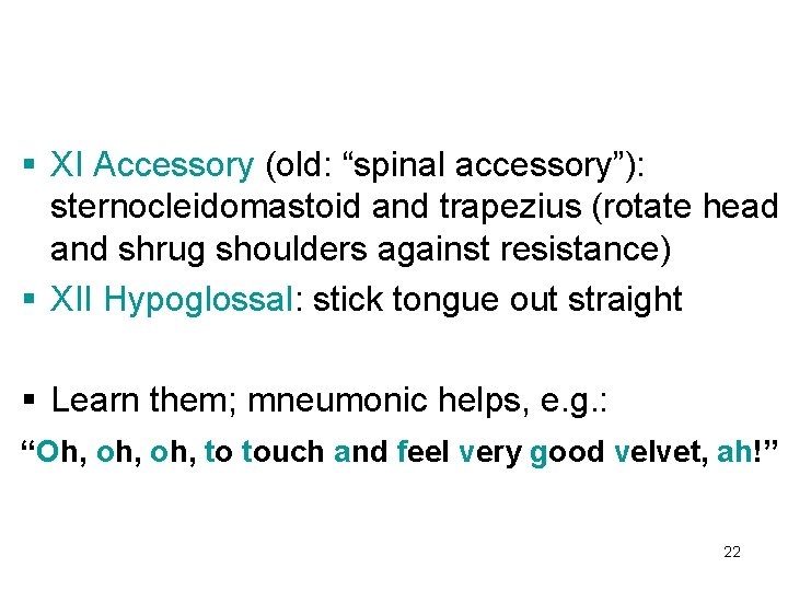 § XI Accessory (old: “spinal accessory”): sternocleidomastoid and trapezius (rotate head and shrug shoulders
