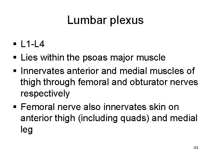 Lumbar plexus § L 1 -L 4 § Lies within the psoas major muscle