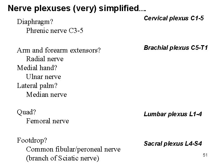 Nerve plexuses (very) simplified…. Diaphragm? Phrenic nerve C 3 -5 Cervical plexus C 1