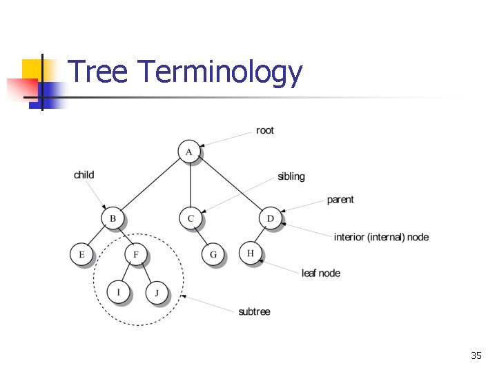 Tree Terminology 35 