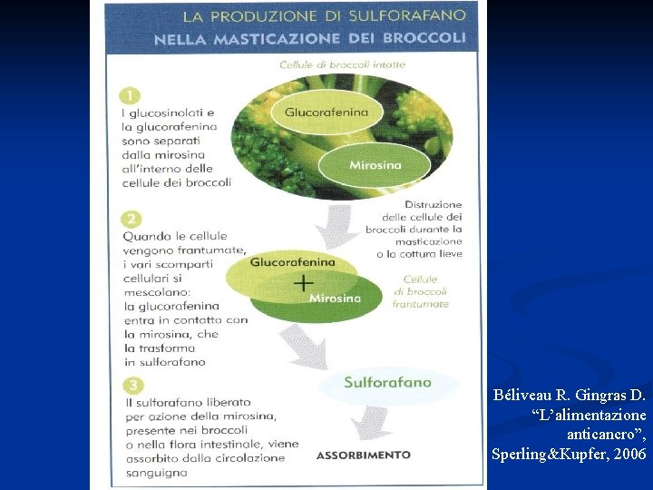 Béliveau R. Gingras D. “L’alimentazione anticancro”, Sperling&Kupfer, 2006 