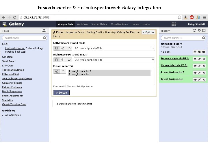 Fusion. Inspector & Fusion. Inspector. Web Galaxy-integration 