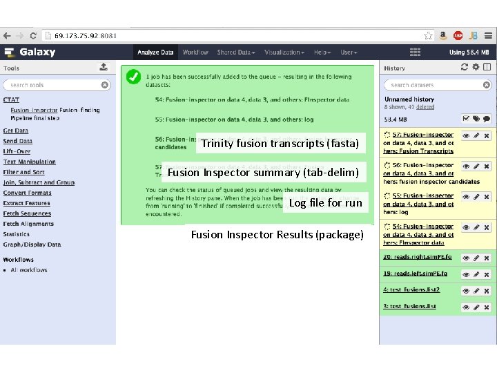 Trinity fusion transcripts (fasta) Fusion Inspector summary (tab-delim) Log file for run Fusion Inspector