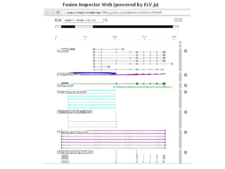 Fusion Inspector Web (powered by IGV. js) 