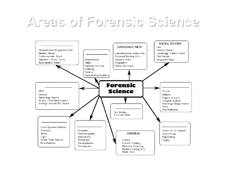 Areas of Forensic Science 