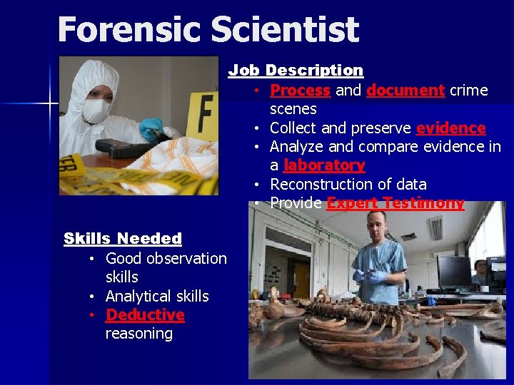 Forensic Scientist Job Description • Process and document crime scenes • Collect and preserve