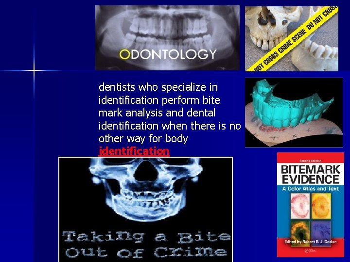 dentists who specialize in identification perform bite mark analysis and dental identification when there