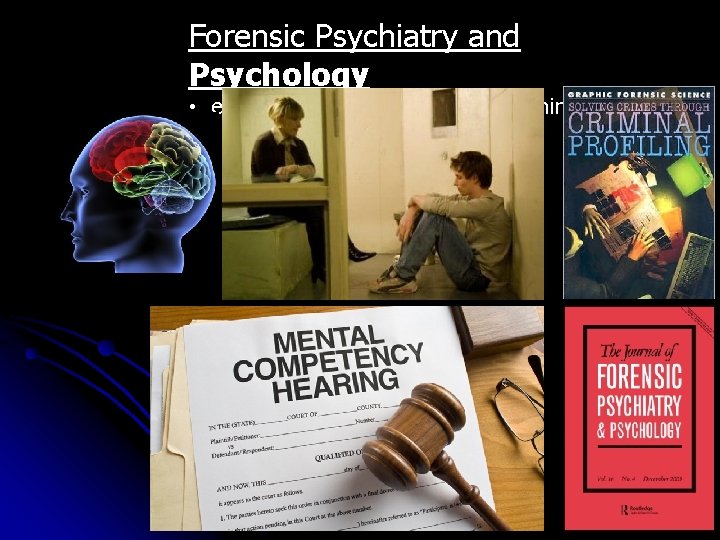Forensic Psychiatry and Psychology • evaluate offenders and profile criminal cases 