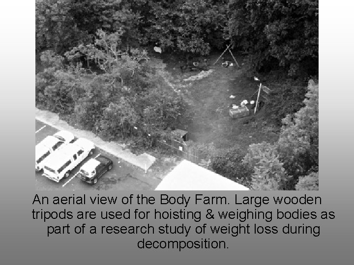 An aerial view of the Body Farm. Large wooden tripods are used for hoisting