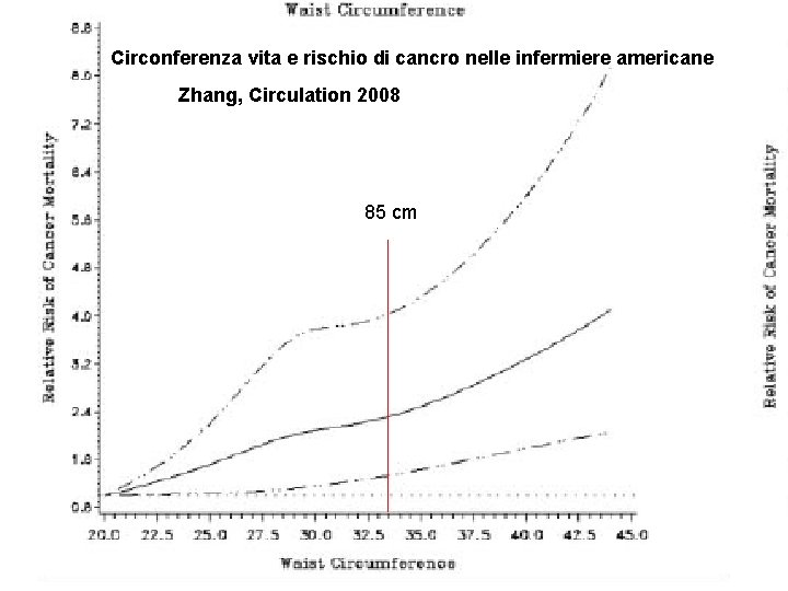 Circonferenza vita e rischio di cancro nelle infermiere americane Zhang, Circulation 2008 85 cm