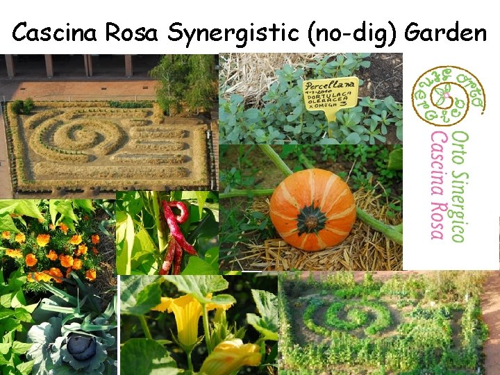 Cascina Rosa Synergistic (no-dig) Garden 