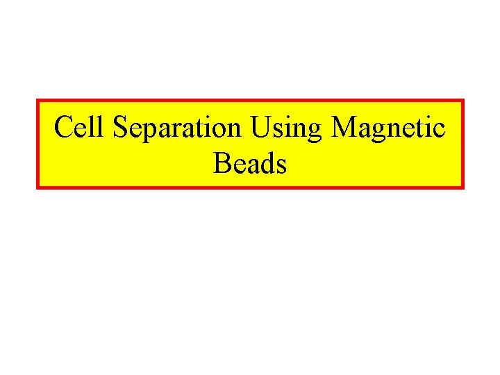 Cell Separation Using Magnetic Beads 