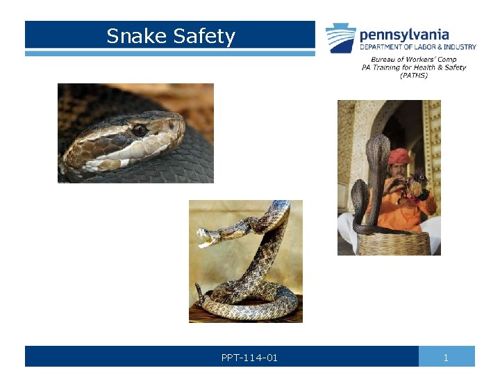 Snake Safety PPT-114 -01 1 