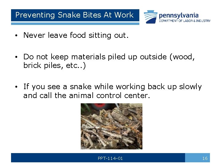 Preventing Snake Bites At Work • Never leave food sitting out. • Do not