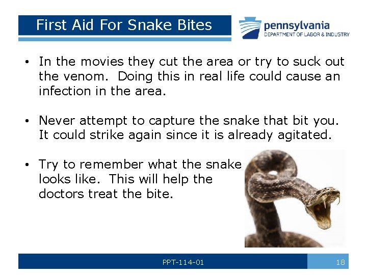 First Aid For Snake Bites • In the movies they cut the area or