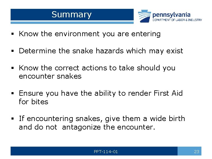 Summary § Know the environment you are entering § Determine the snake hazards which