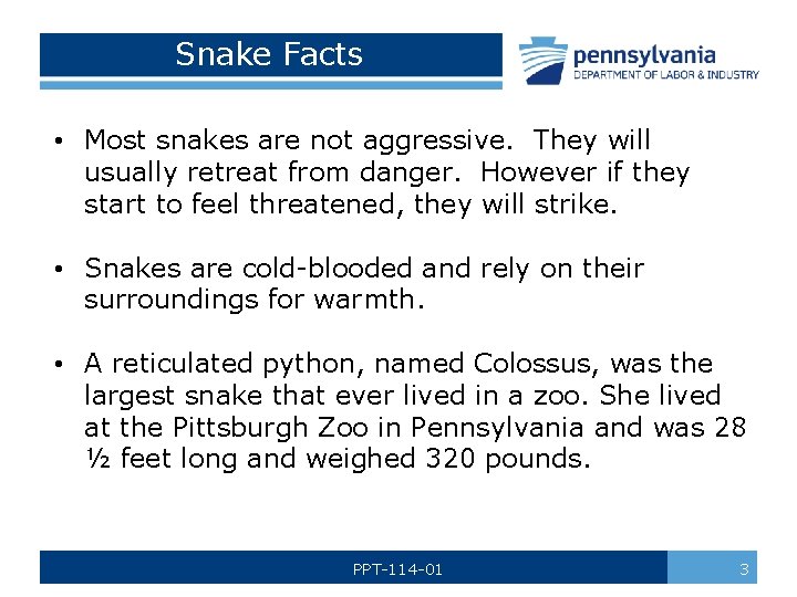 Snake Facts • Most snakes are not aggressive. They will usually retreat from danger.