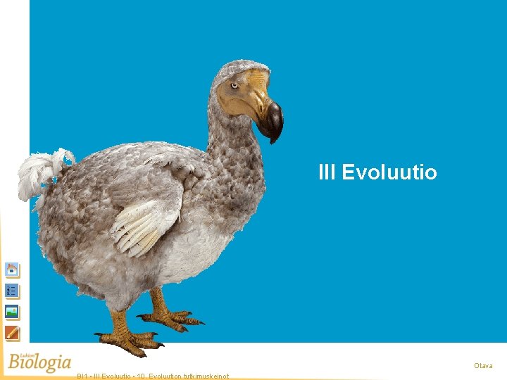 Aloitussivu III Evoluutio Otava BI 1 • III Evoluutio • 10. Evoluution tutkimuskeinot 