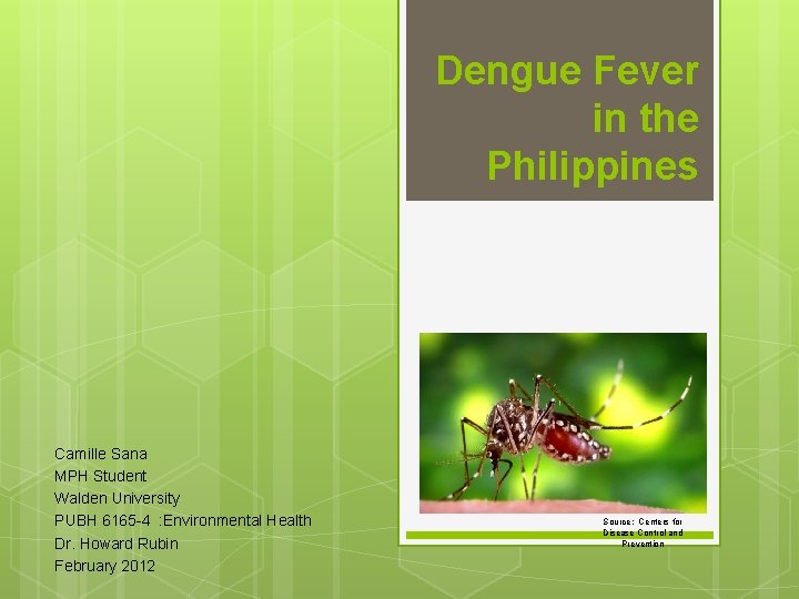 Dengue Fever in the Philippines Camille Sana MPH Student Walden University PUBH 6165 -4