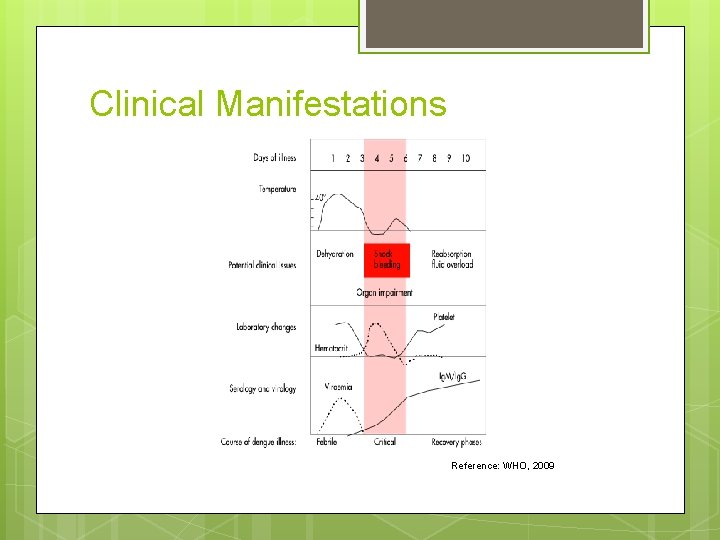 Clinical Manifestations Reference: WHO, 2009 