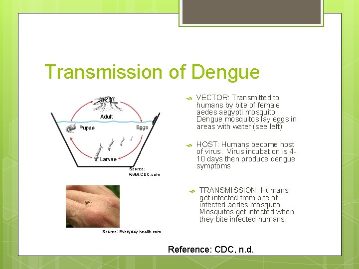 Transmission of Dengue VECTOR: Transmitted to humans by bite of female aedes aegypti mosquito.