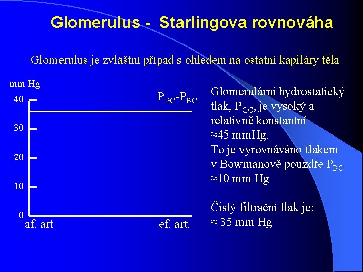 Glomerulus - Starlingova rovnováha Glomerulus je zvláštní případ s ohledem na ostatní kapiláry těla Glomerulus - Starlingova rovnováha Glomerulus je zvláštní případ s ohledem na ostatní kapiláry těla