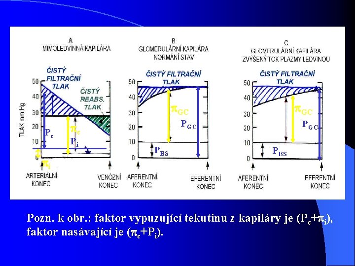 GC Pc i PGC c Pi GC PBS Pozn. k obr. : faktor GC Pc i PGC c Pi GC PBS Pozn. k obr. : faktor