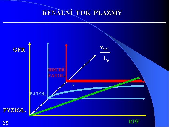 RENÁLNÍ TOK PLAZMY v. GC GFR Lp HRUBĚ PATOL. . ? PATOL. FYZIOL. 25 RENÁLNÍ TOK PLAZMY v. GC GFR Lp HRUBĚ PATOL. . ? PATOL. FYZIOL. 25