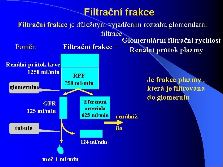 Filtrační frakce je důležitým vyjádřením rozsahu glomerulární filtrace. Glomerulární filtrační rychlost Poměr: Filtrační frakce Filtrační frakce je důležitým vyjádřením rozsahu glomerulární filtrace. Glomerulární filtrační rychlost Poměr: Filtrační frakce