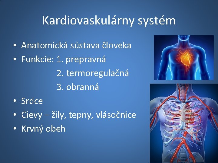 Kardiovaskulárny systém • Anatomická sústava človeka • Funkcie: 1. prepravná 2. termoregulačná 3. obranná