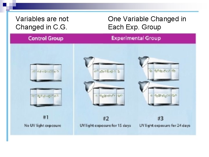 Variables are not Changed in C. G. One Variable Changed in Each Exp. Group