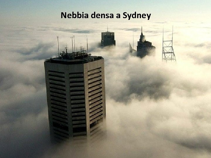 Nebbia densa a Sydney 