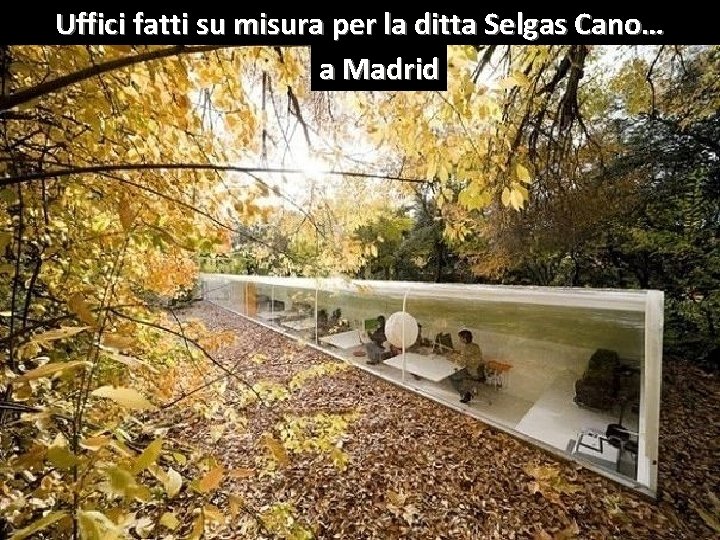 Uffici fatti su misura per la ditta Selgas Cano… a Madrid 