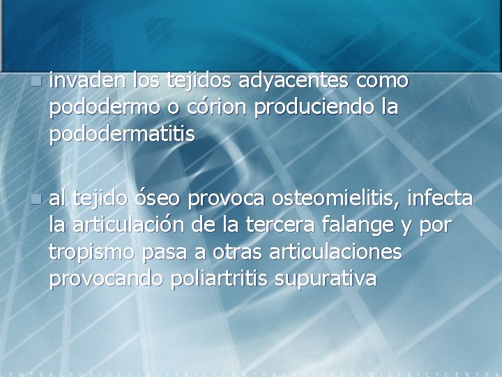 n invaden los tejidos adyacentes como pododermo o córion produciendo la pododermatitis n al