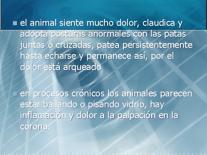 n el animal siente mucho dolor, claudica y adopta posturas anormales con las patas