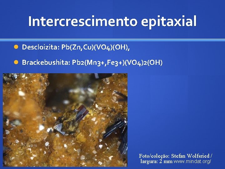 Intercrescimento epitaxial Descloizita: Pb(Zn, Cu)(VO 4)(OH), Brackebushita: Pb 2(Mn 3+, Fe 3+)(VO 4)2(OH) Foto/coleção: