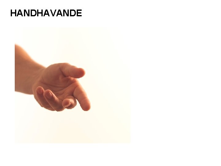 HANDHAVANDE 