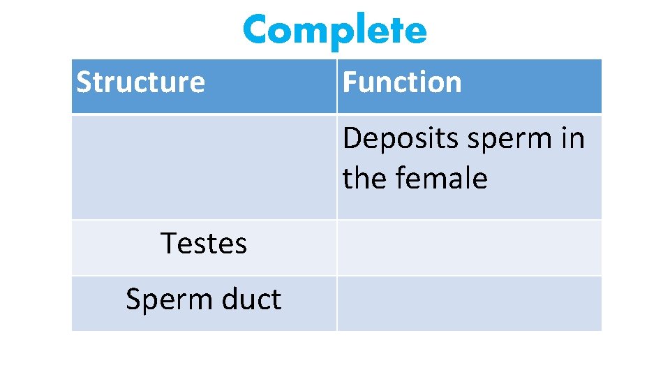 Complete Structure Function Deposits sperm in the female Testes Sperm duct 