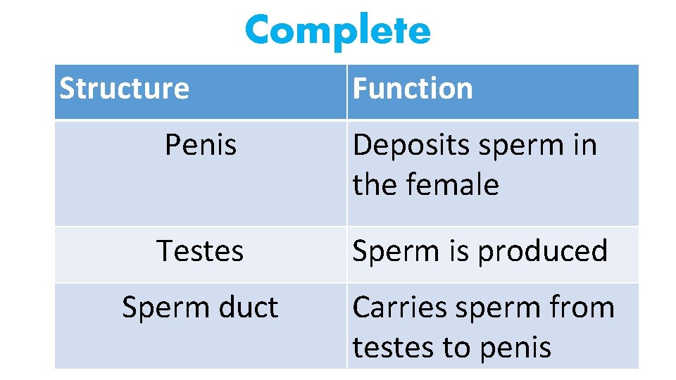 Complete Structure Function Penis Deposits sperm in the female Testes Sperm is produced Sperm