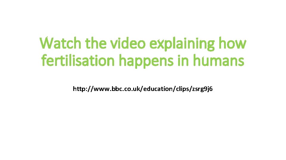 Watch the video explaining how fertilisation happens in humans http: //www. bbc. co. uk/education/clips/zsrg