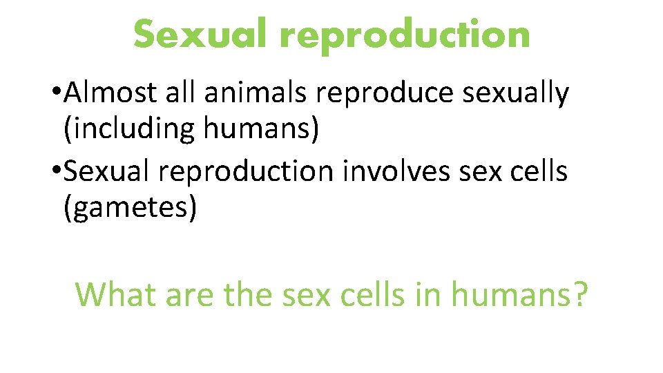 Sexual reproduction • Almost all animals reproduce sexually (including humans) • Sexual reproduction involves