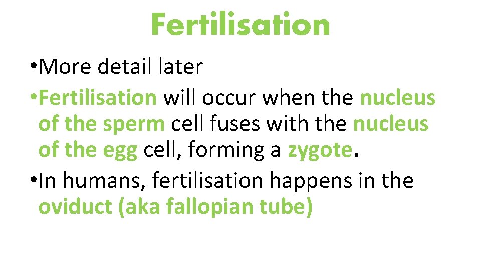 Fertilisation • More detail later • Fertilisation will occur when the nucleus of the