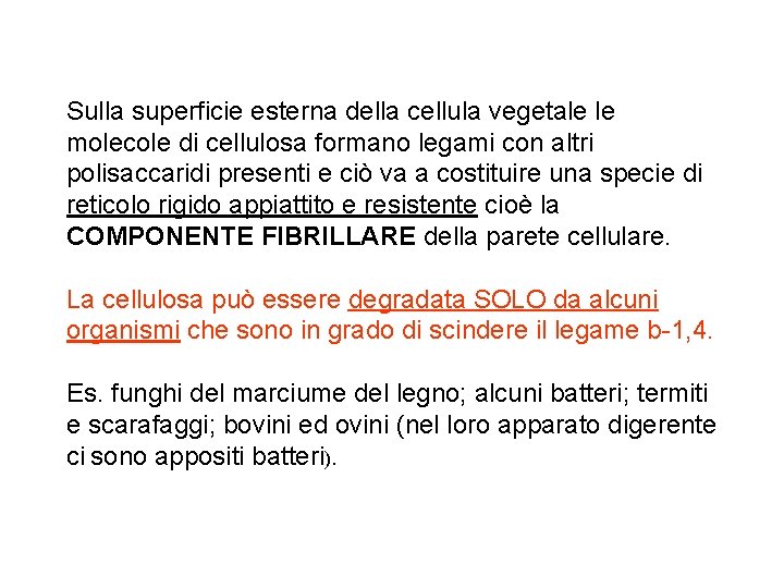 Sulla superficie esterna della cellula vegetale le molecole di cellulosa formano legami con altri