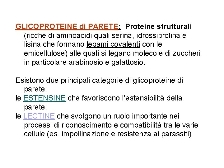 GLICOPROTEINE di PARETE: Proteine strutturali (ricche di aminoacidi quali serina, idrossiprolina e lisina che